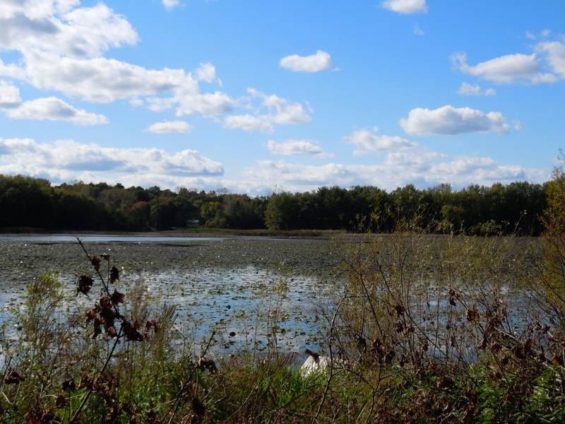 Homes for sale on Ackerman Lake Brighton MI